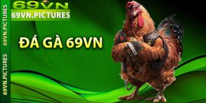 Đá Gà 69VN